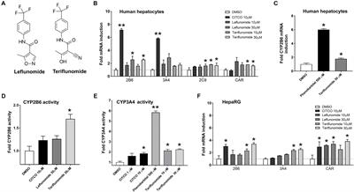 Teriflunomide Is an Indirect Human Constitutive Androstane Receptor (CAR) Activator Interacting With Epidermal Growth Factor (EGF) Signaling